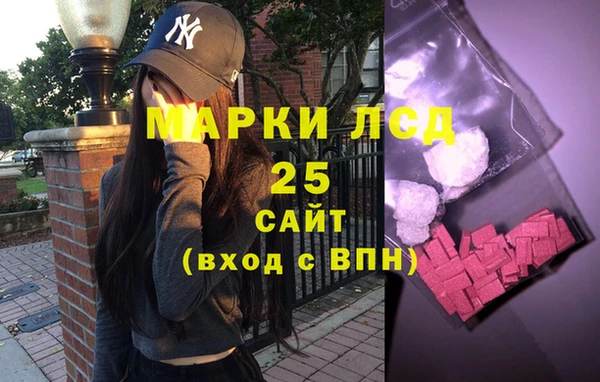 хмурый Михайловск