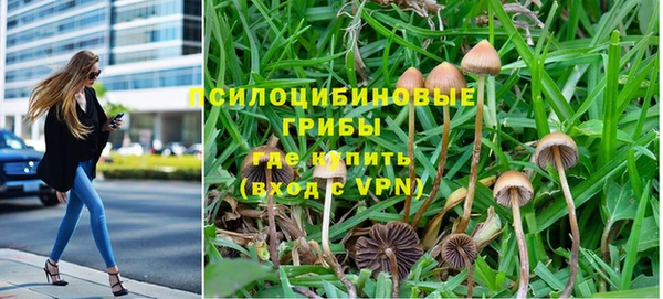 гашик Алексеевка