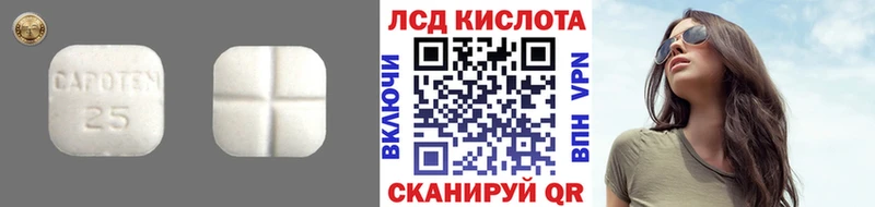 купить   гидра как зайти  LSD-25 экстази кислота  Вологда 